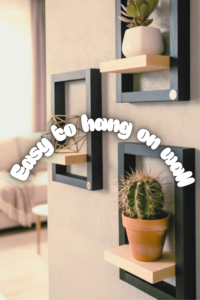 Modern Floating Wall Shelf Decor